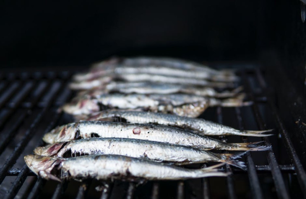 Lekker genieten met gevulde sardientjes? Bekijk de tips!