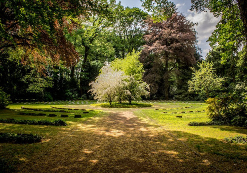 Ontdek hoe een hovenier uit Ermelo je tuin én je woongenot verbetert