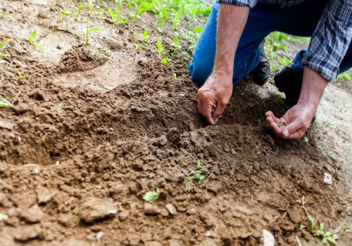 Digitaal leren binnen de agrosector