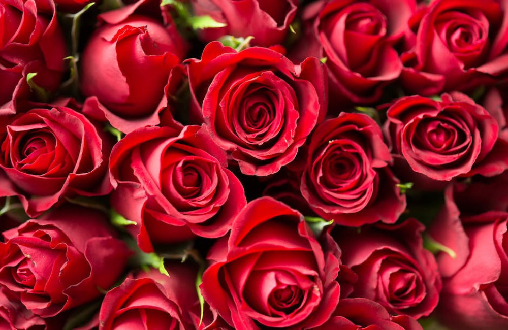 Welke bloemen zijn het populairste tijdens uitvaarten?