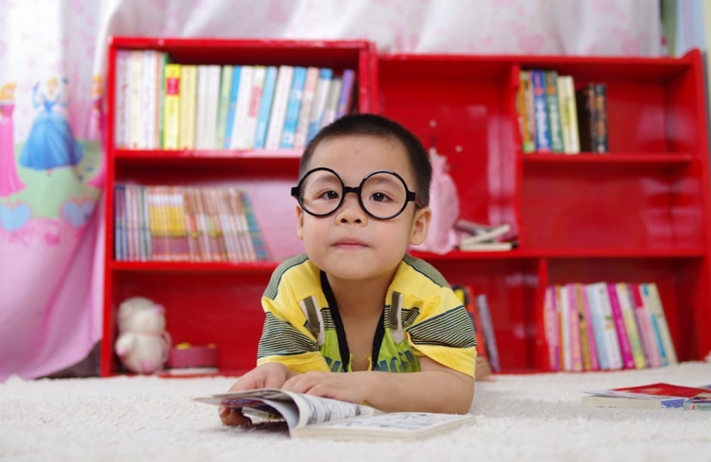 Wat is artikelpedia en waarom is het zo uniek?