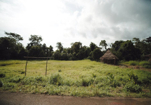 Wanneer kies je voor een spoedaanvraag naar Suriname?