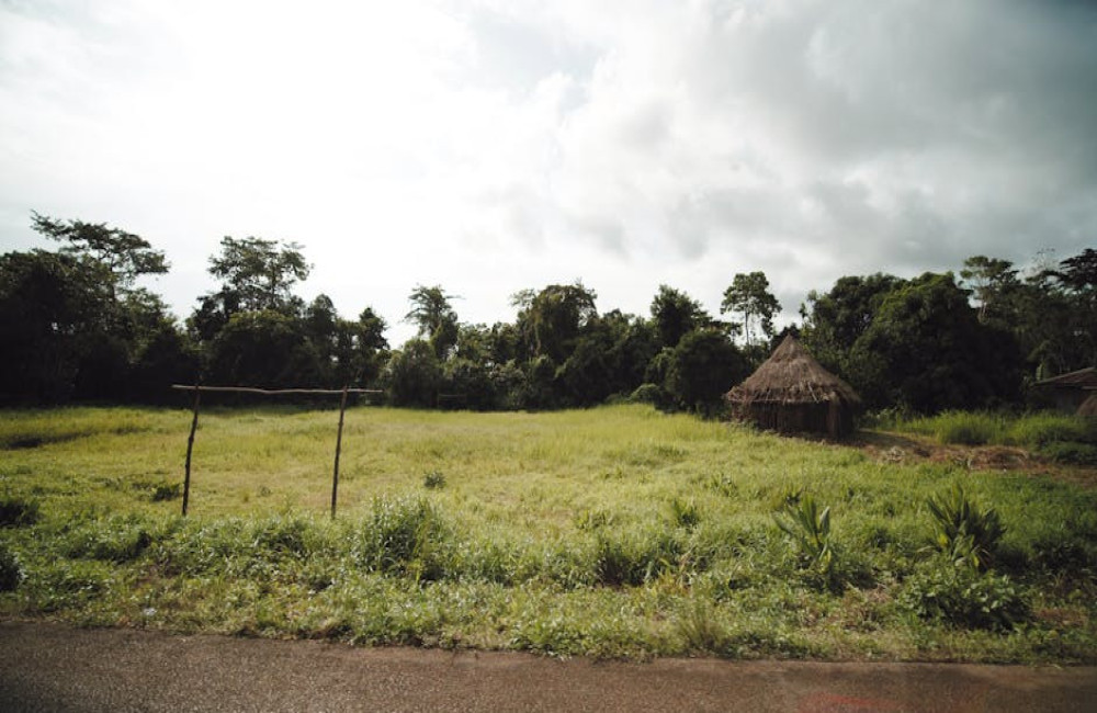 Wanneer kies je voor een spoedaanvraag naar Suriname?