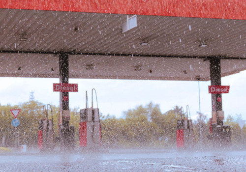 Waarom ruikt regen anders na een droge periode? De wetenschap achter petrichor