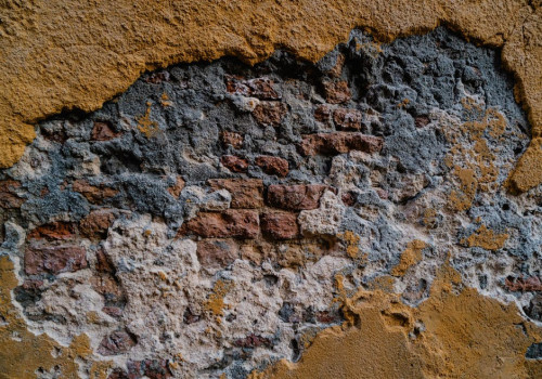 Salie en katten: kan deze plant kwaad of is hij veilig?