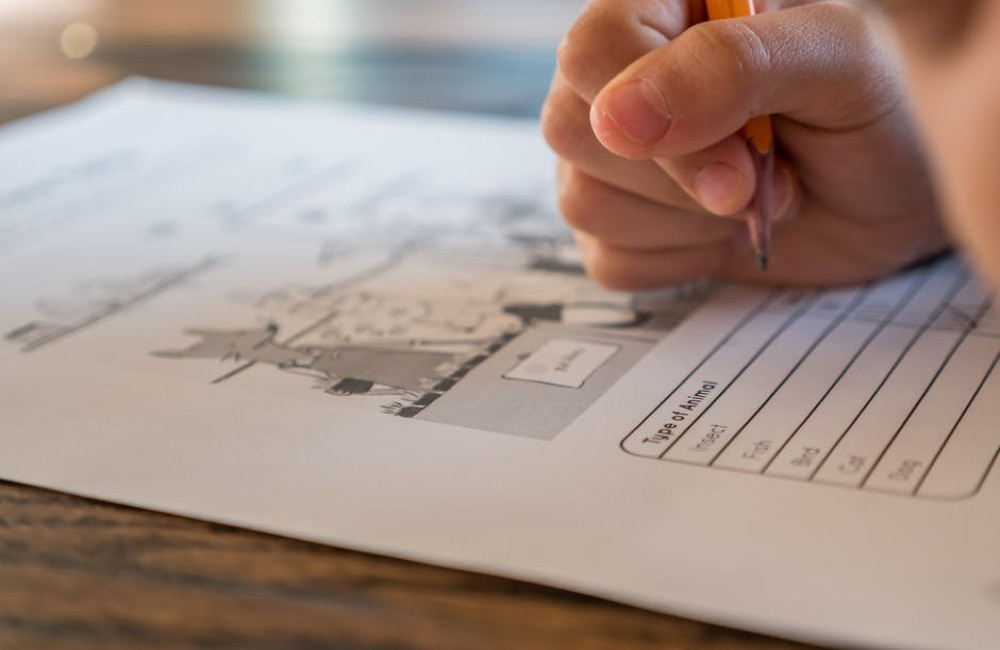 Vergroot je slagingskans met examenbundel.nl