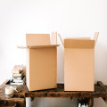 Zelf verhuizen of een verhuisbedrijf inhuren? Zo maak je de beste keuze