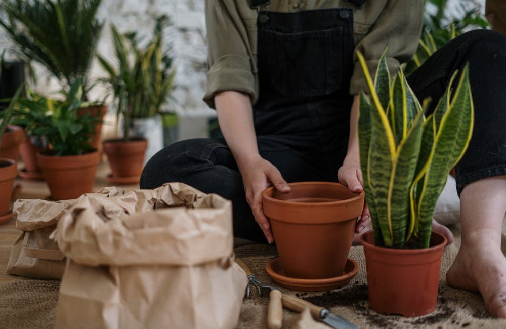Maak je tuin zomerklaar met deze inspirerende tips