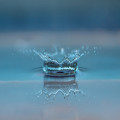 Waarom is regenwater beter voor je planten dan kraanwater?