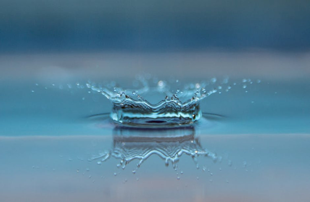 Waarom is regenwater beter voor je planten dan kraanwater?