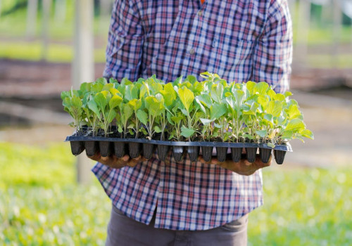 Meer uit je tuin halen? Dat kan op verschillende manieren!