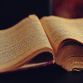 Waarom is Wikipedia zo populair als online encyclopedie?