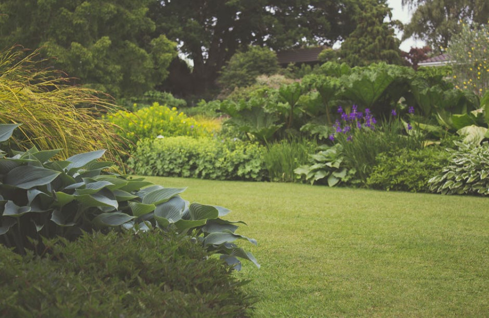 Praktische oplossingen om de tuin duurzamer in te richten