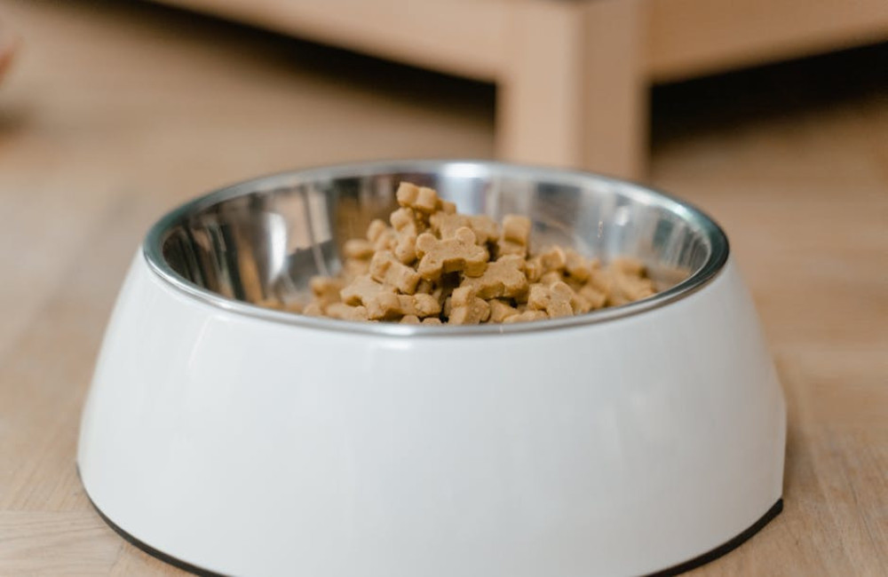 Hoeveel kost het om een hond van 15 kilo een jaar te voeden met middenklasse brokken